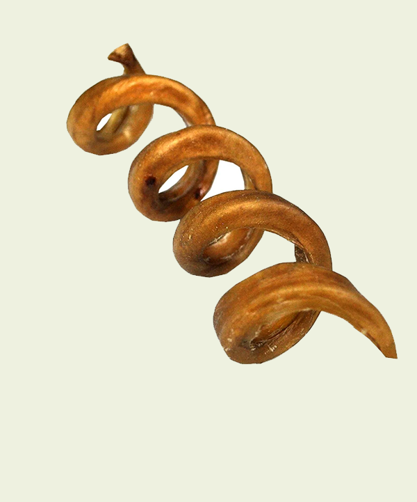 Curly Bully Sticks